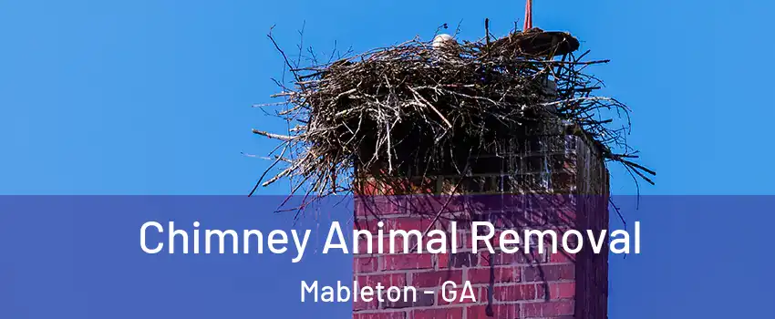  Chimney Animal Removal Mableton - GA