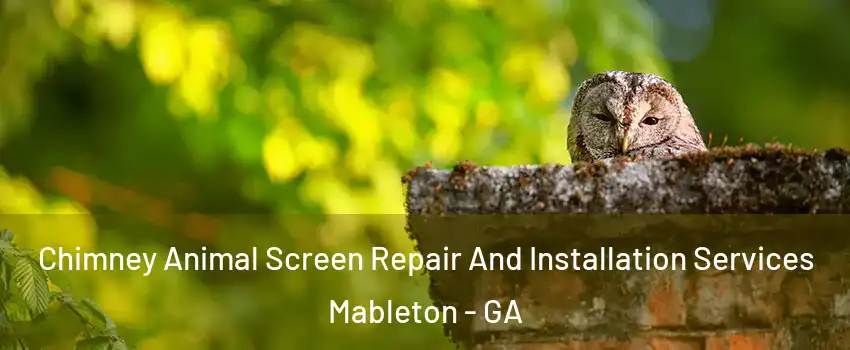  Chimney Animal Screen Repair And Installation Services Mableton - GA