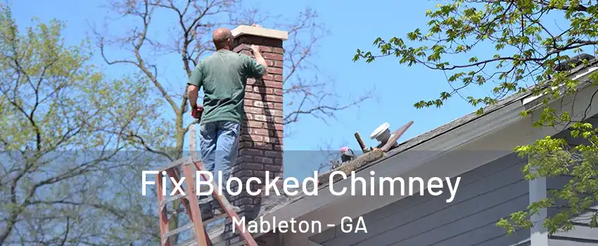  Fix Blocked Chimney Mableton - GA