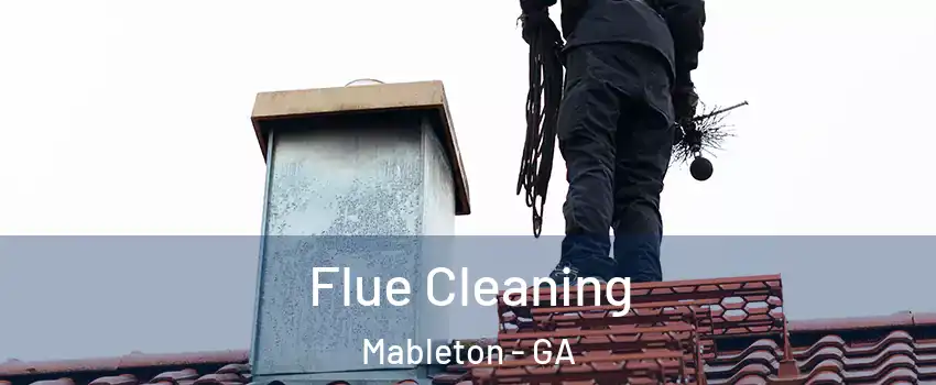  Flue Cleaning Mableton - GA