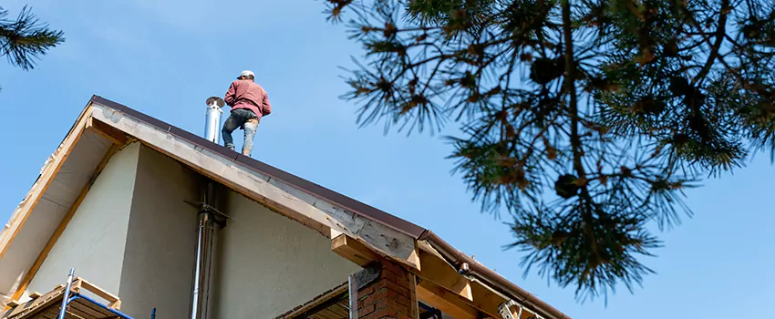 Birds Removal Contractors from Chimney in Mableton, GA