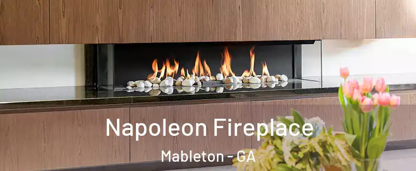  Napoleon Fireplace Mableton - GA